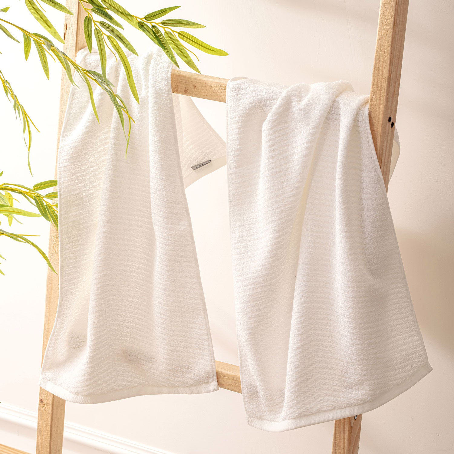 White 04