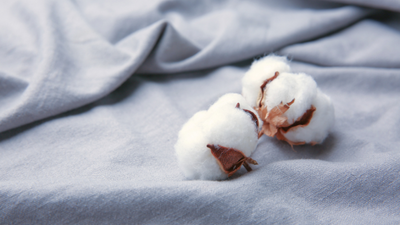 The luxury of Supima Cotton:- why it is worth the investment?