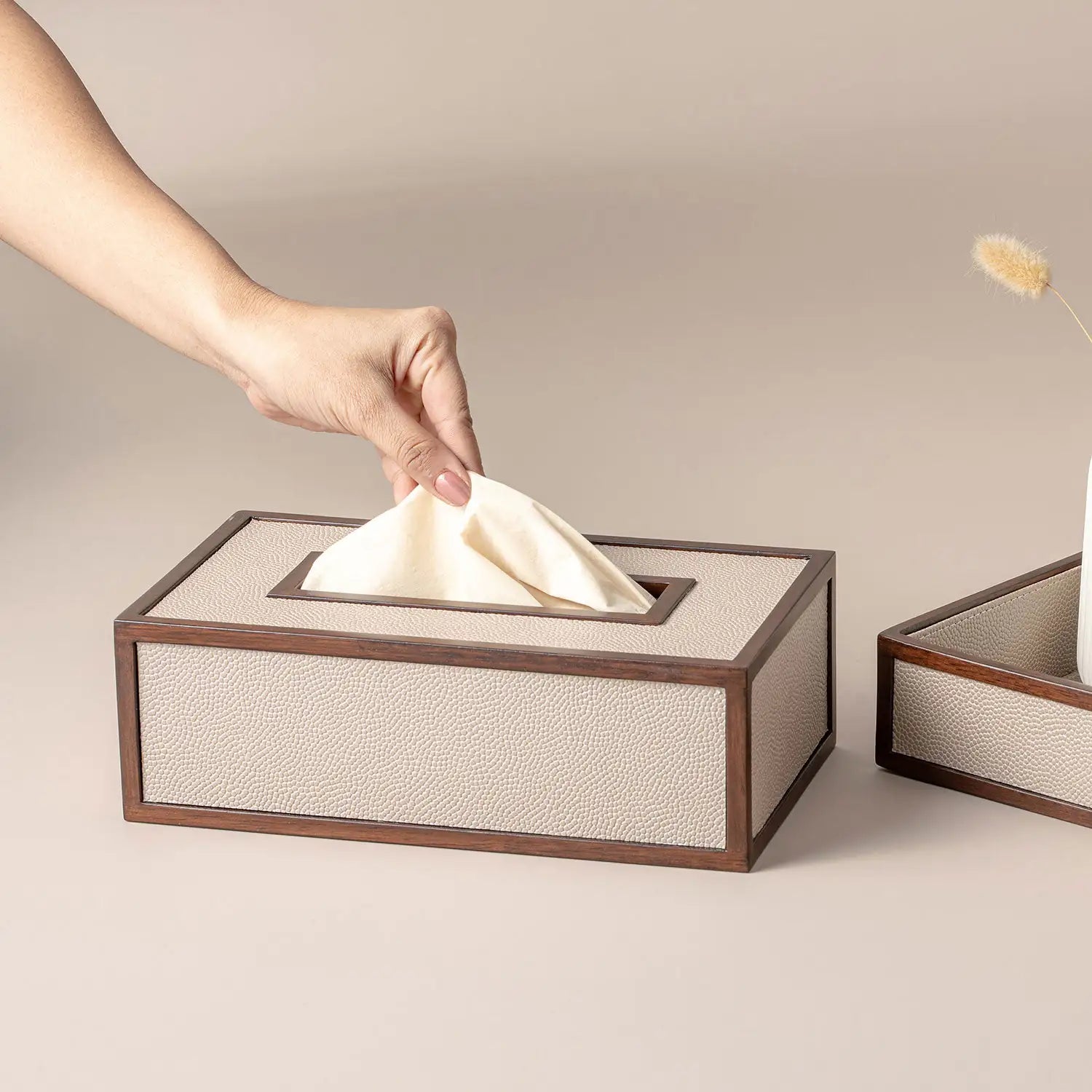 Stingray Storage Set | Leatherette