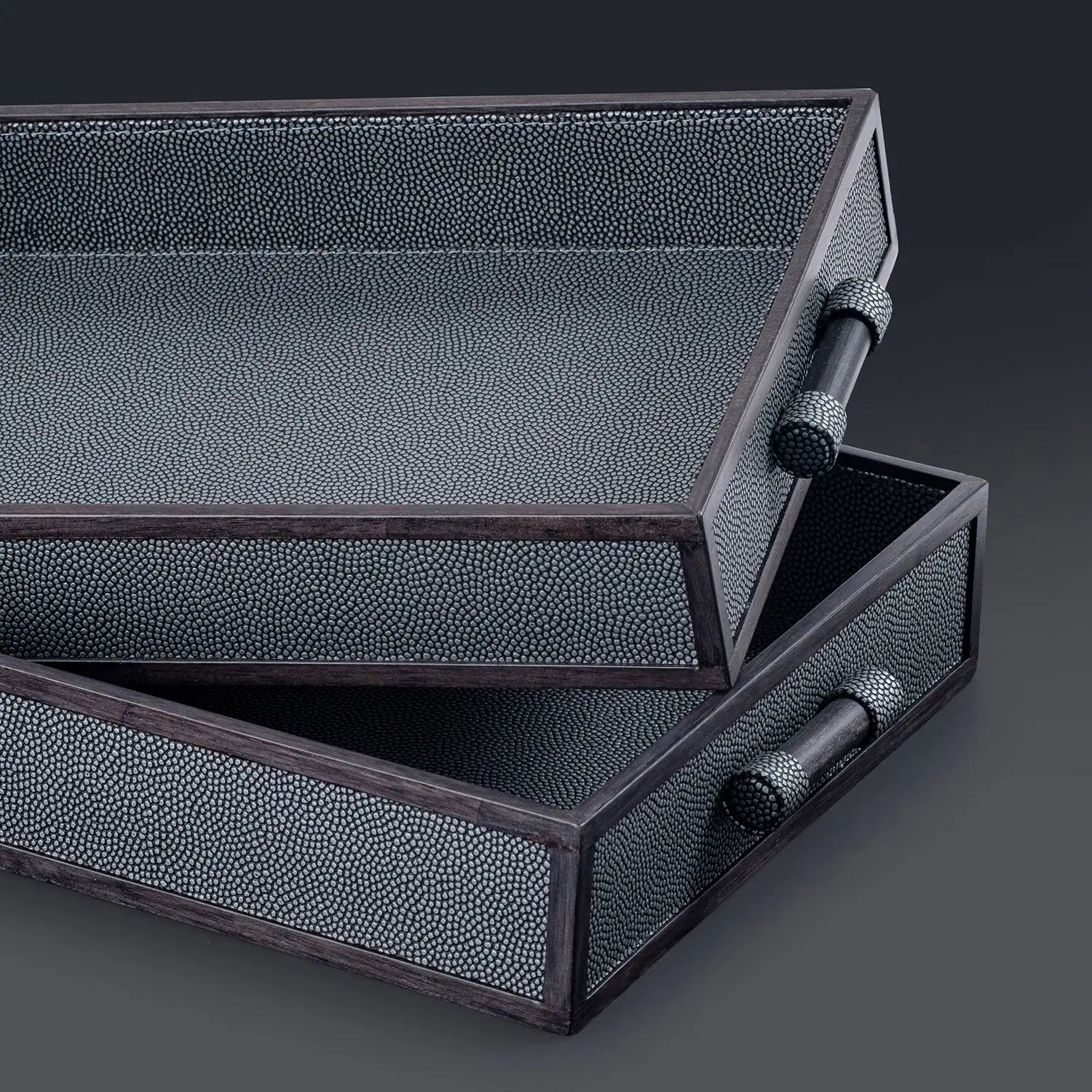 Stingray Tray