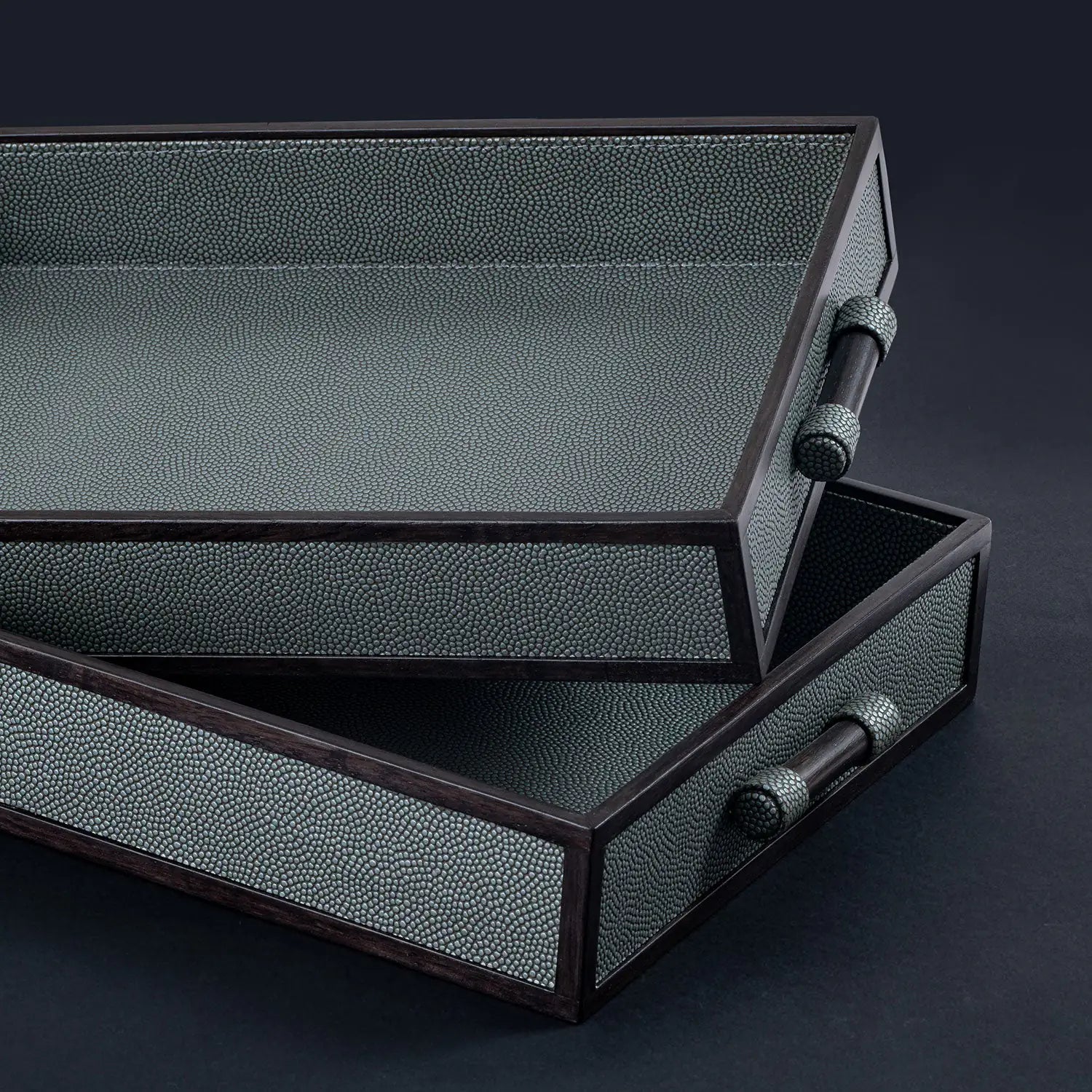 Stingray Tray