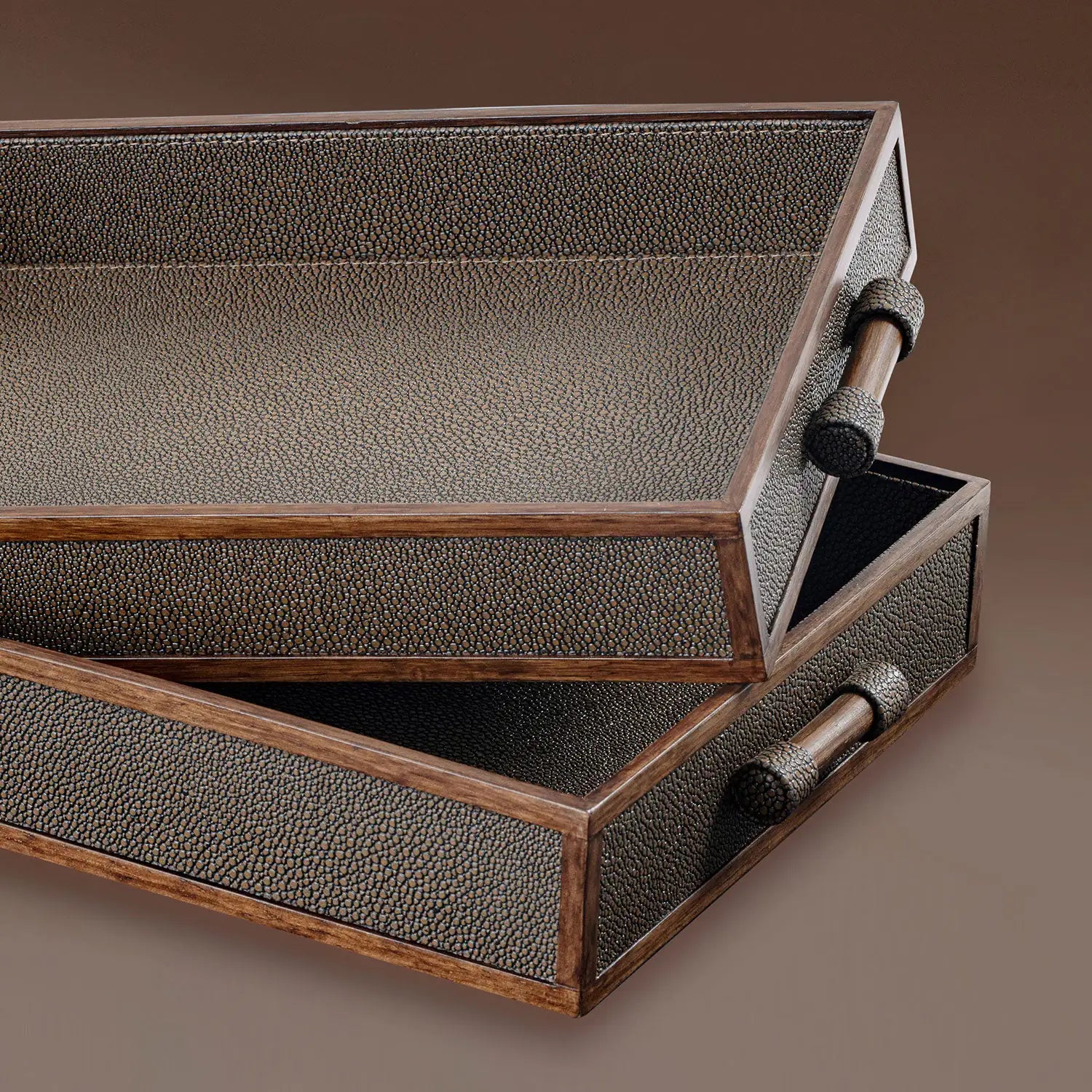 Stingray Tray
