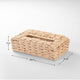 7007 Brown