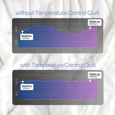 Temperature Control  Quilt