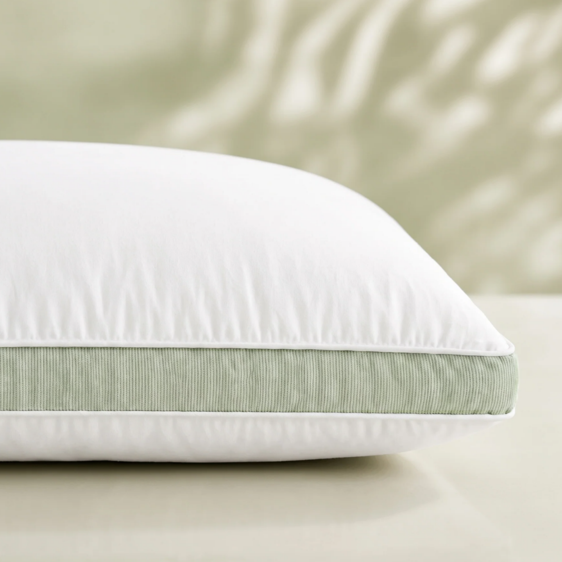 Aloevera Pillow
