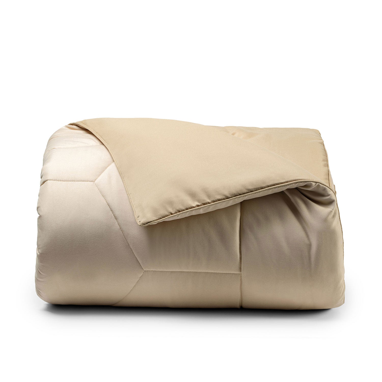 Sand/Camel