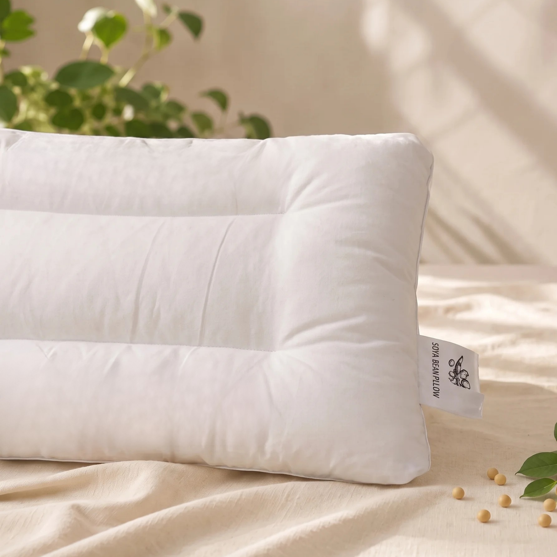 Soyabean Pillow