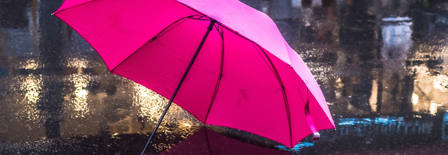 files/Umbrellas_90111e0a-0e38-47dc-a411-3d6bbe54de2a.png