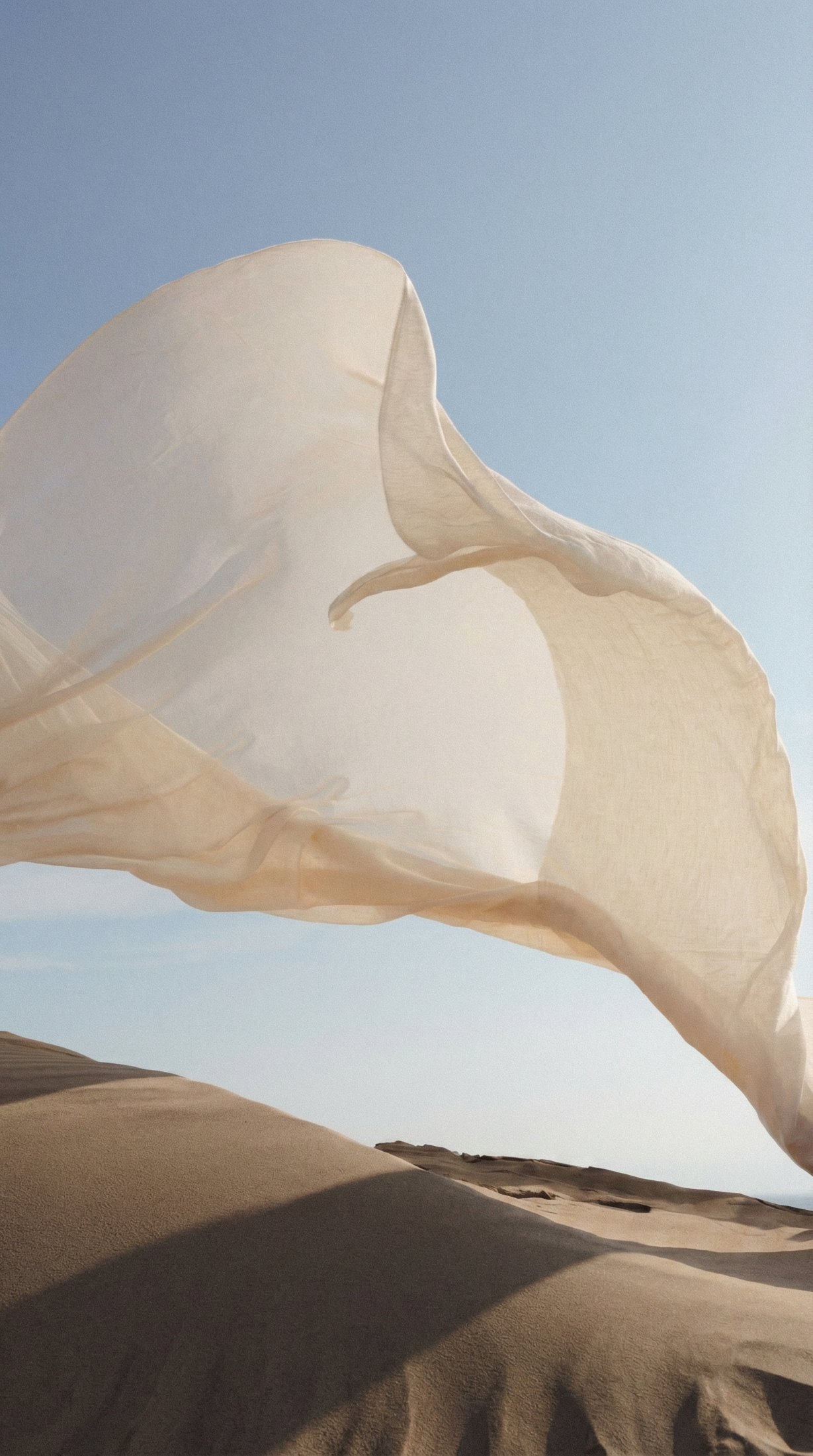files/hf_20260413_014346_77e7d0d8-f30a-4d41-b7bf-01b974fae137.png