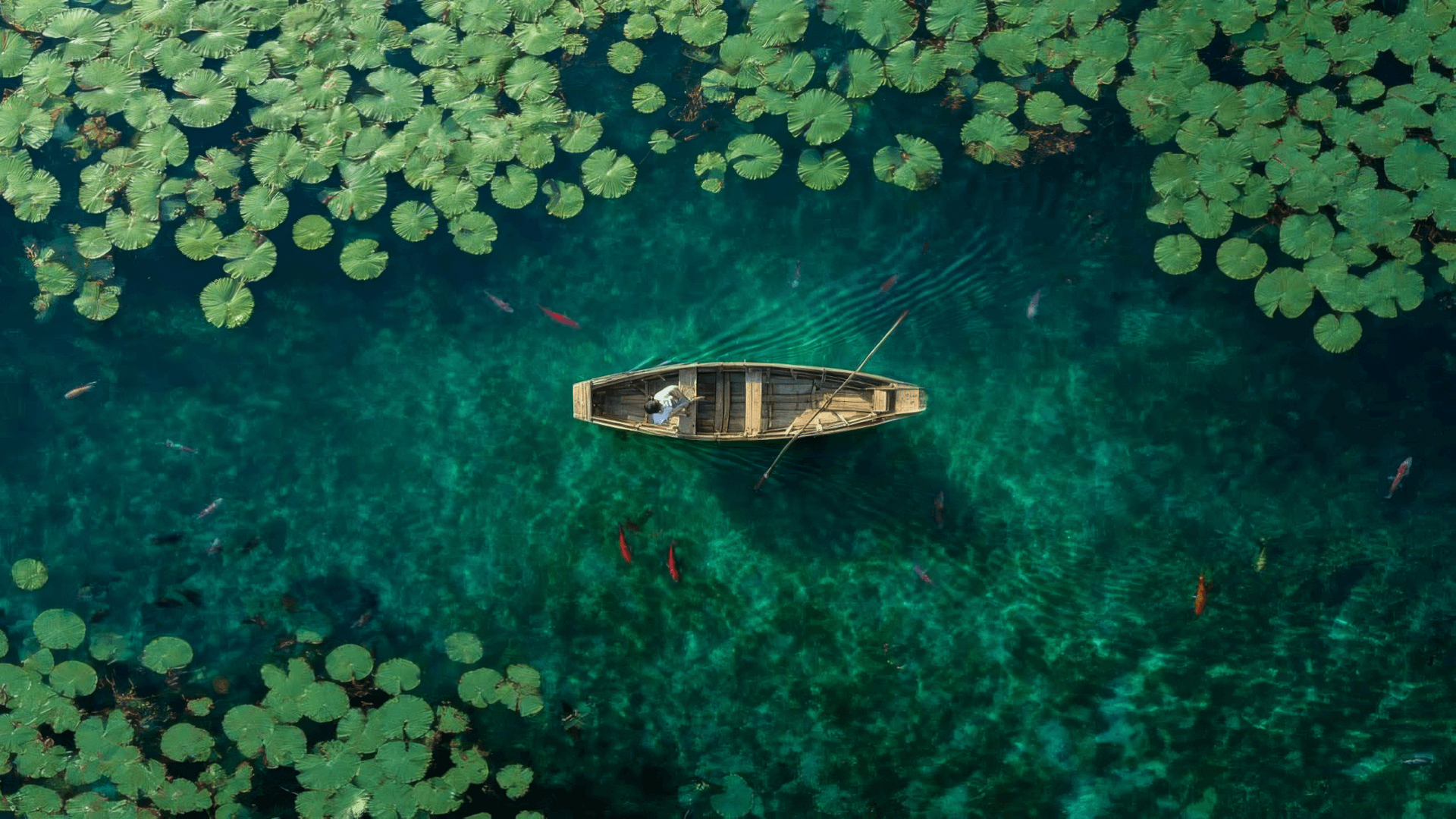 files/nature_1C.png