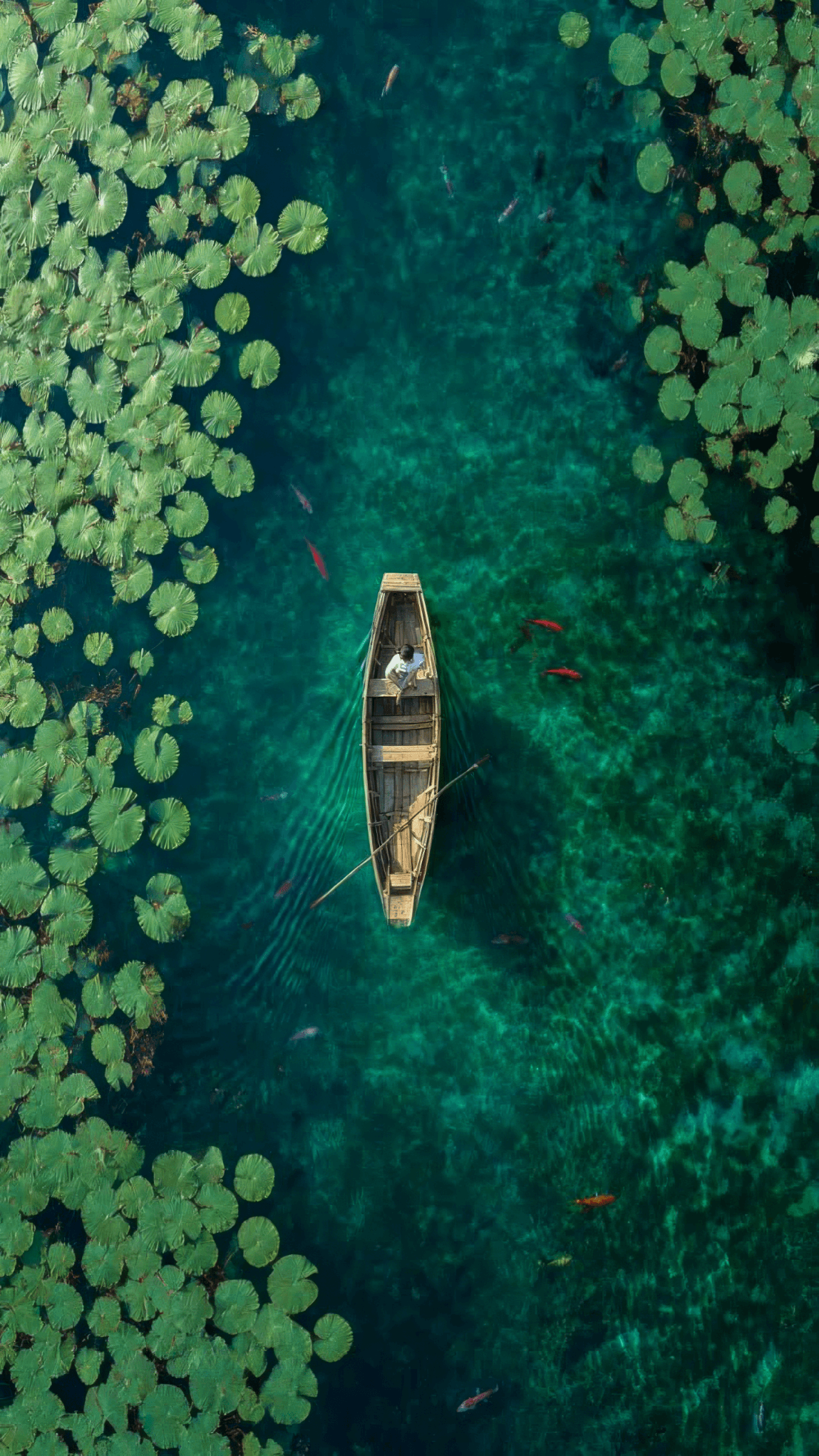 files/nature_1C_fe9fce1c-c7b7-4467-8a93-2228b9c0fd10.png
