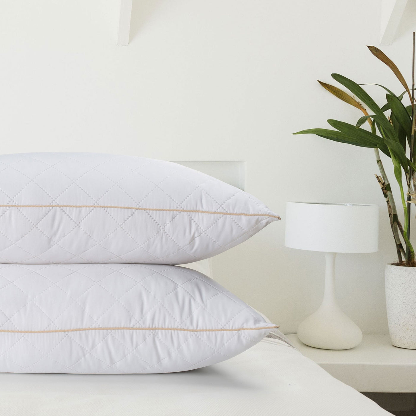 Firm best sale euro pillows