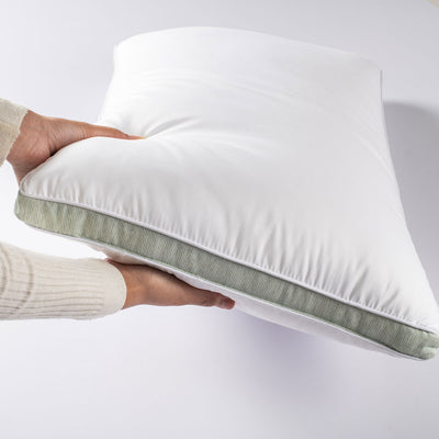 Aloevera Gel Coated Anti Allergic Pillow
