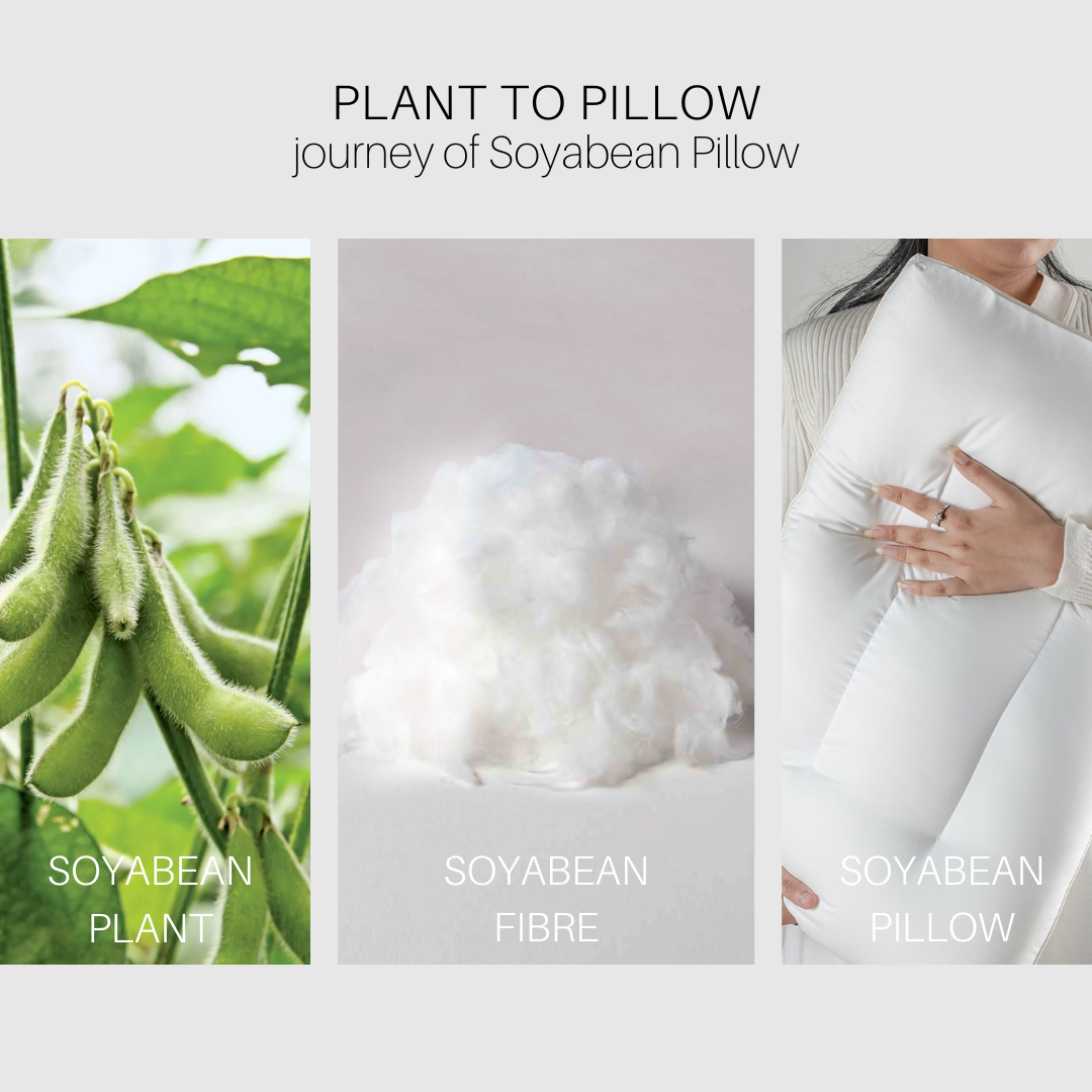 Soyabean Orthopedic Firm Pillow