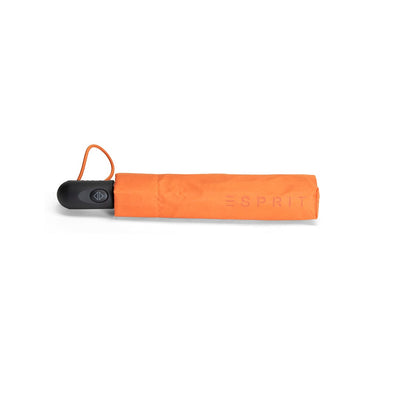 Burn Orange
