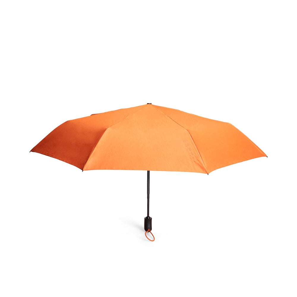Burn Orange