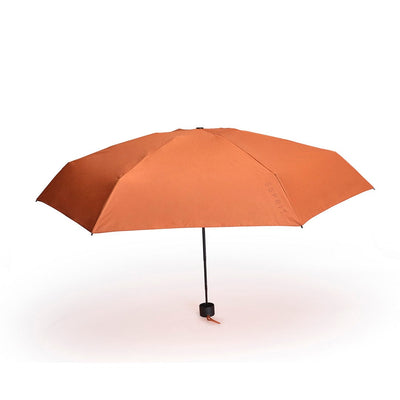 Burn Orange